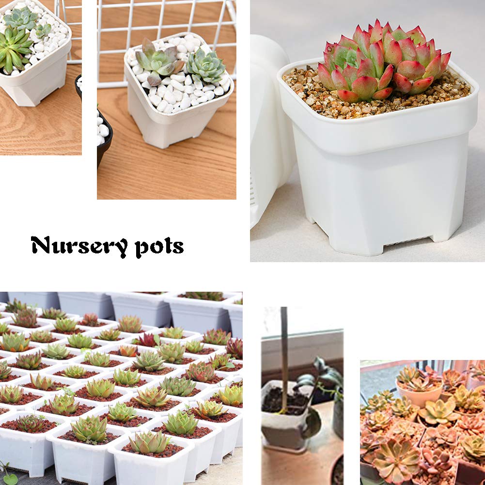 24 Pack 3 Inch White Square Plastic Plant Pots with Saucers,Nursery Seedling Pots with Drainage Hole,Small Planter Containers for Succulents,Flowers,Indoor Outdoor Garden,Home Office Balcony Decor