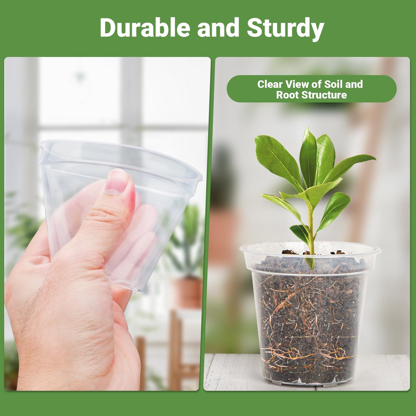 GREANER 60 Packs Clear Plant Nursery Pots, 3 Inch Plastic Pot with Drainage Holes, Reinforced Flower Seed Starter Pot for Indoors Outdoor Plants with 20 Plant Labels - Transparent