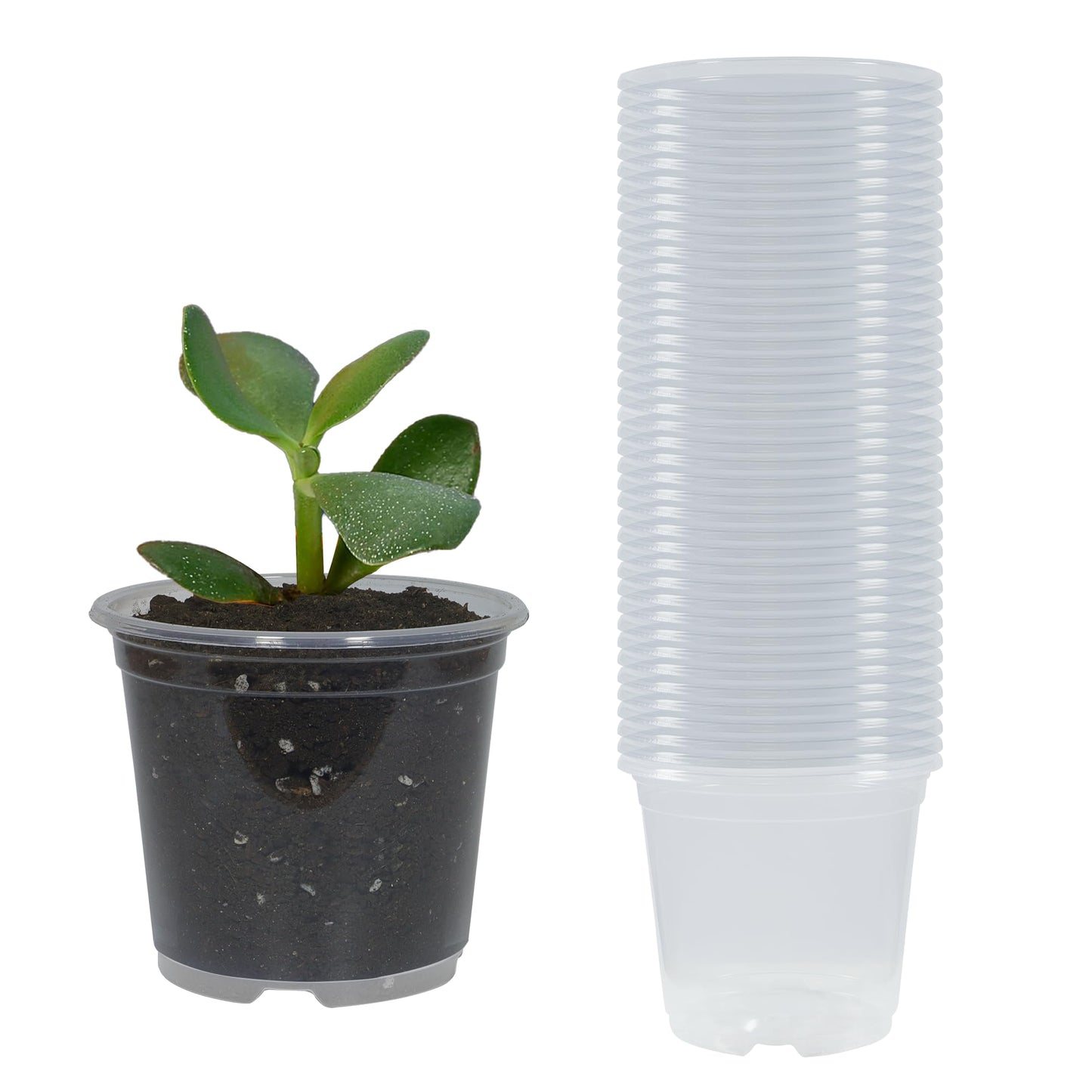 TNTIWQ 40 Pack 3 Inch Clear Nursery Pots with Drainage Plant Pots for Plants Transparent Potting Containers for Plants Seeding Starter Pot (Clear, 3 Inch 40 Pcs)