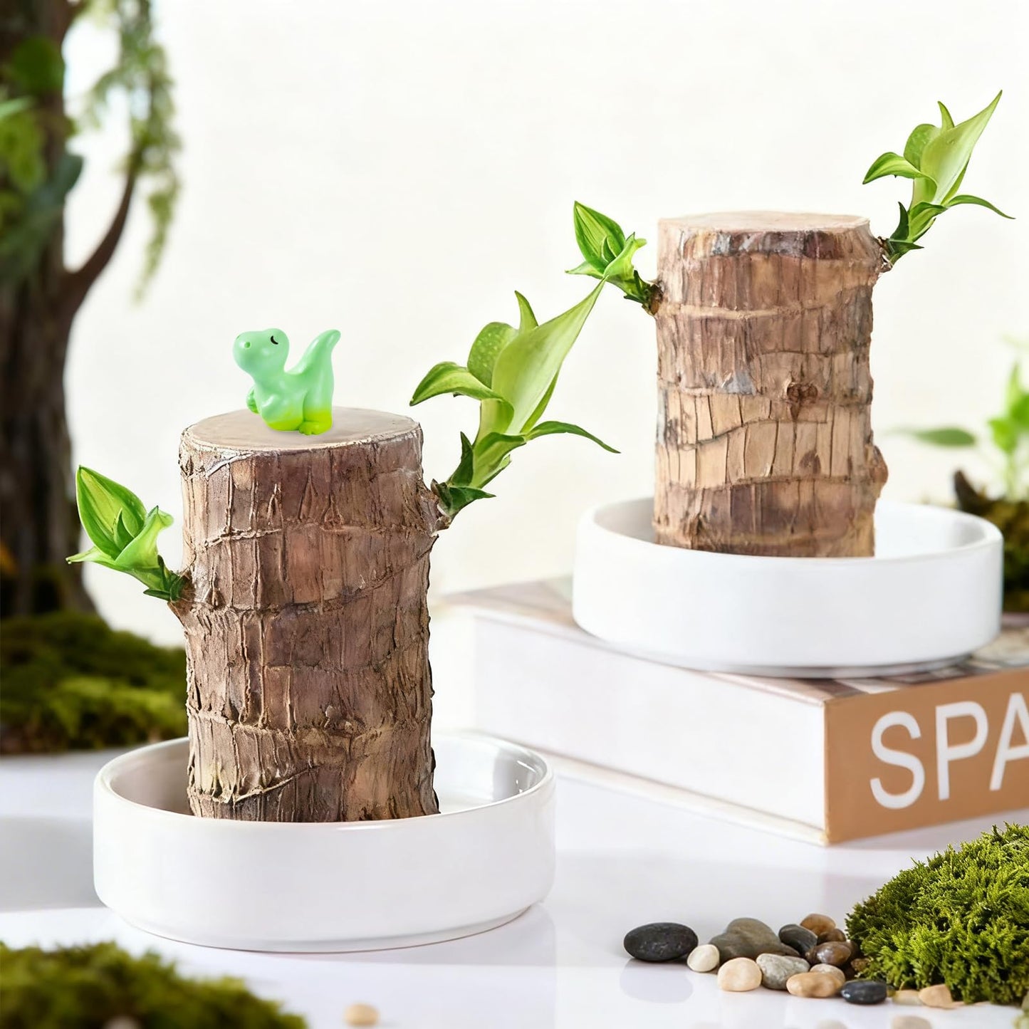 JJWYLTKB Brazilian Lucky Wood Plant,Fortune Brazil Wood Potted Plant with Dinosaur Figurine,Mini Brazil Decoration, Desk Decor for Home & Office Desktop Planter
