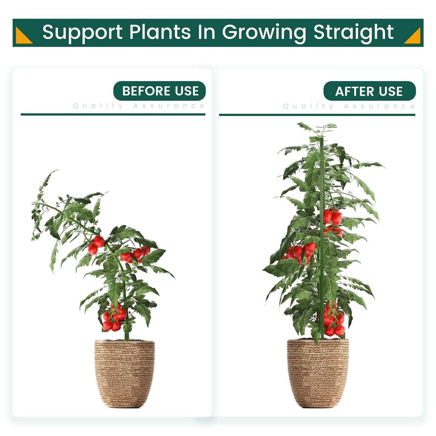 PROWORX 36 Inch 3 Ft Plant Support Garden Stakes 25 PCS, Sturdy Steel Plastic Coated Sticks for Outdoor Growing Climbing, Tomato, Trees, Cucumber, Beans