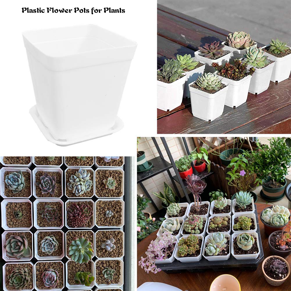 24 Pack 3 Inch White Square Plastic Plant Pots with Saucers,Nursery Seedling Pots with Drainage Hole,Small Planter Containers for Succulents,Flowers,Indoor Outdoor Garden,Home Office Balcony Decor