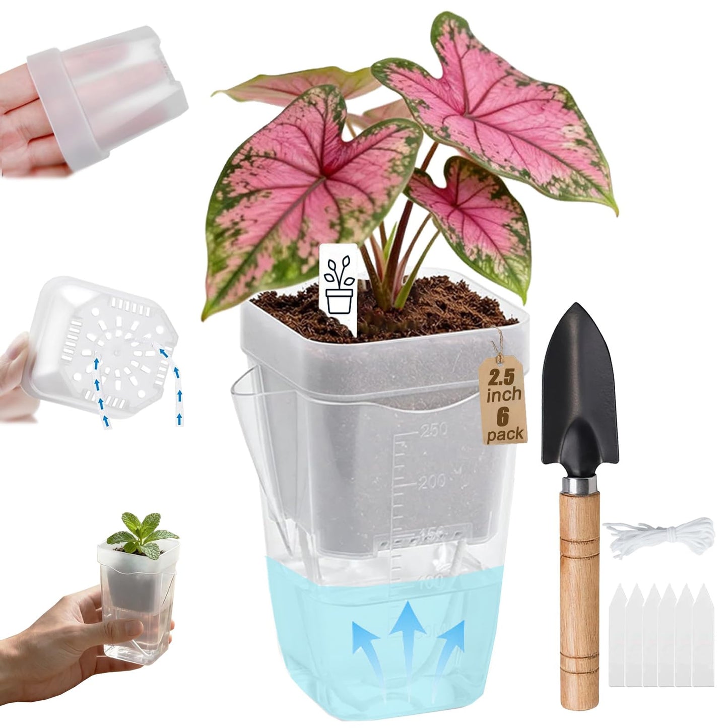 Poutilor 2.5 Inch Self Watering Pots, Clear Nursery Pots with Drainage Holes & Visible Water Level, 6 Pack Seed Starter Pots for Seedlings, Cuttings, Succulents, Prevent Overwatering