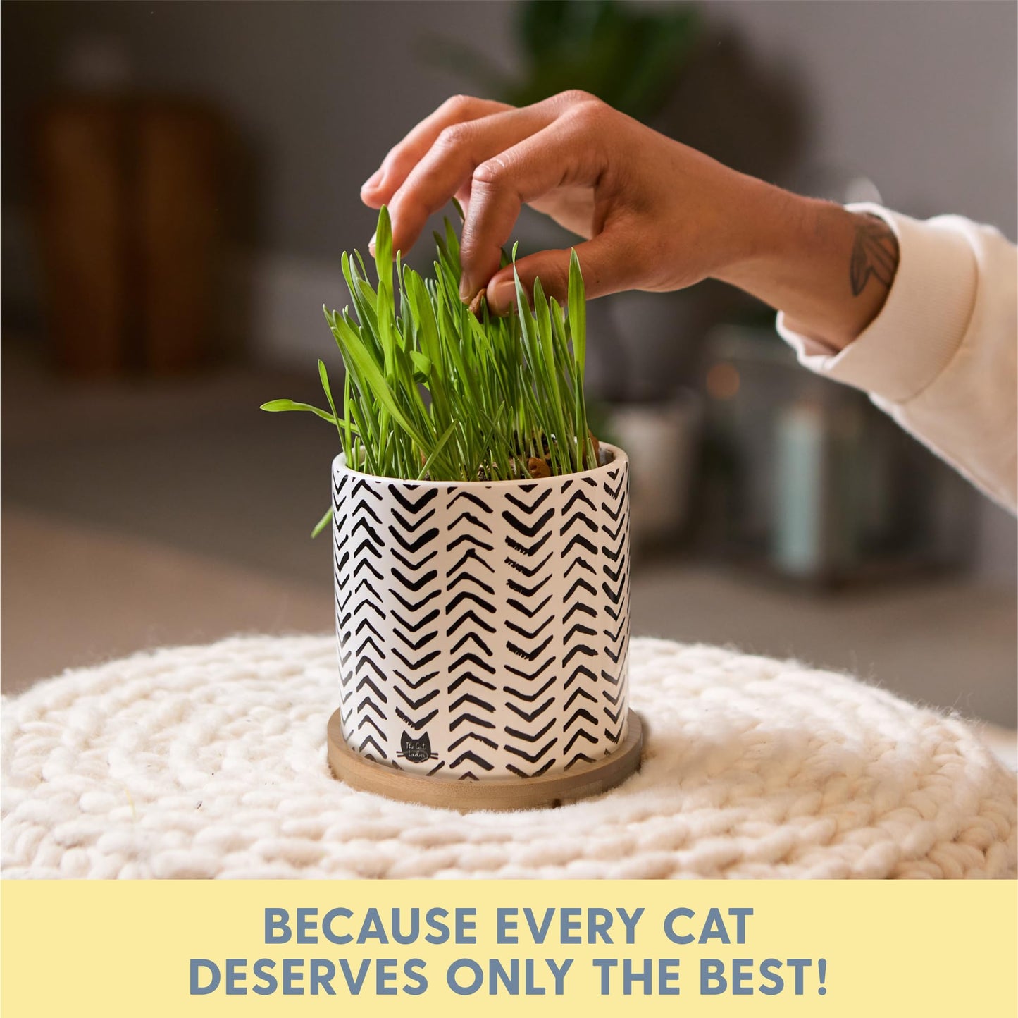 The Cat Ladies Organic Cat Grass for Indoor Cats - Growing Kit with Organic Seed Mix, Soil and Boho Planter with Bamboo Tray. Natural Hairball Control and Digestion Remedy, Cat Gifts