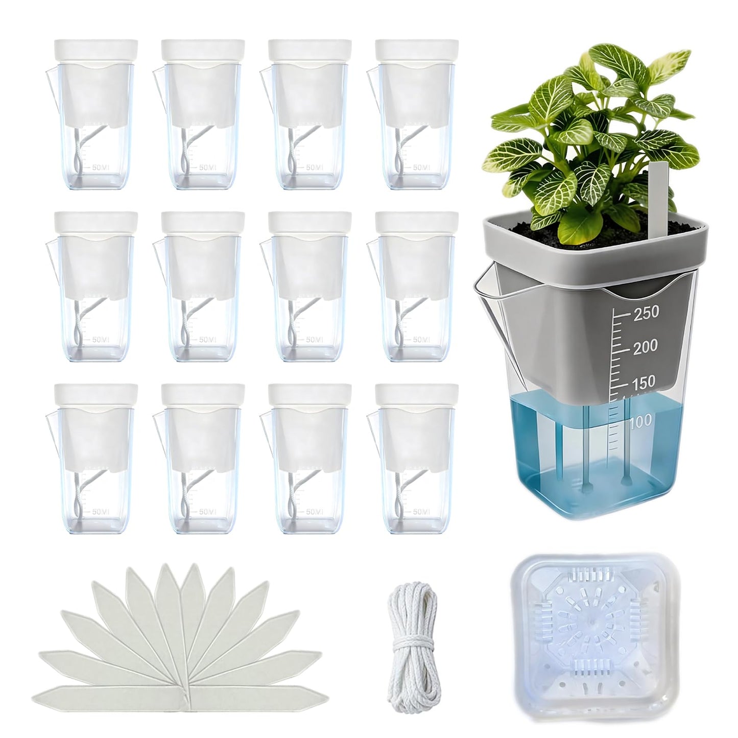 12 Pack 2.5 Inch Self Watering Pots for Indoor Plants, Clear Plastic Planters with Water Level Indicator, Semi Hydroponic Propagation Station for Succulents, African Violet and LECA