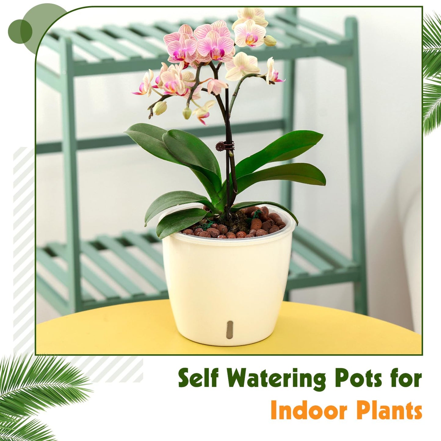 KvyusFlourish 8-Pack 5 Inch Self Watering Pots, Indoor Planter with Indicator, Transparent Wick Pot for Orchids, Small African Violet Pot, for Plants