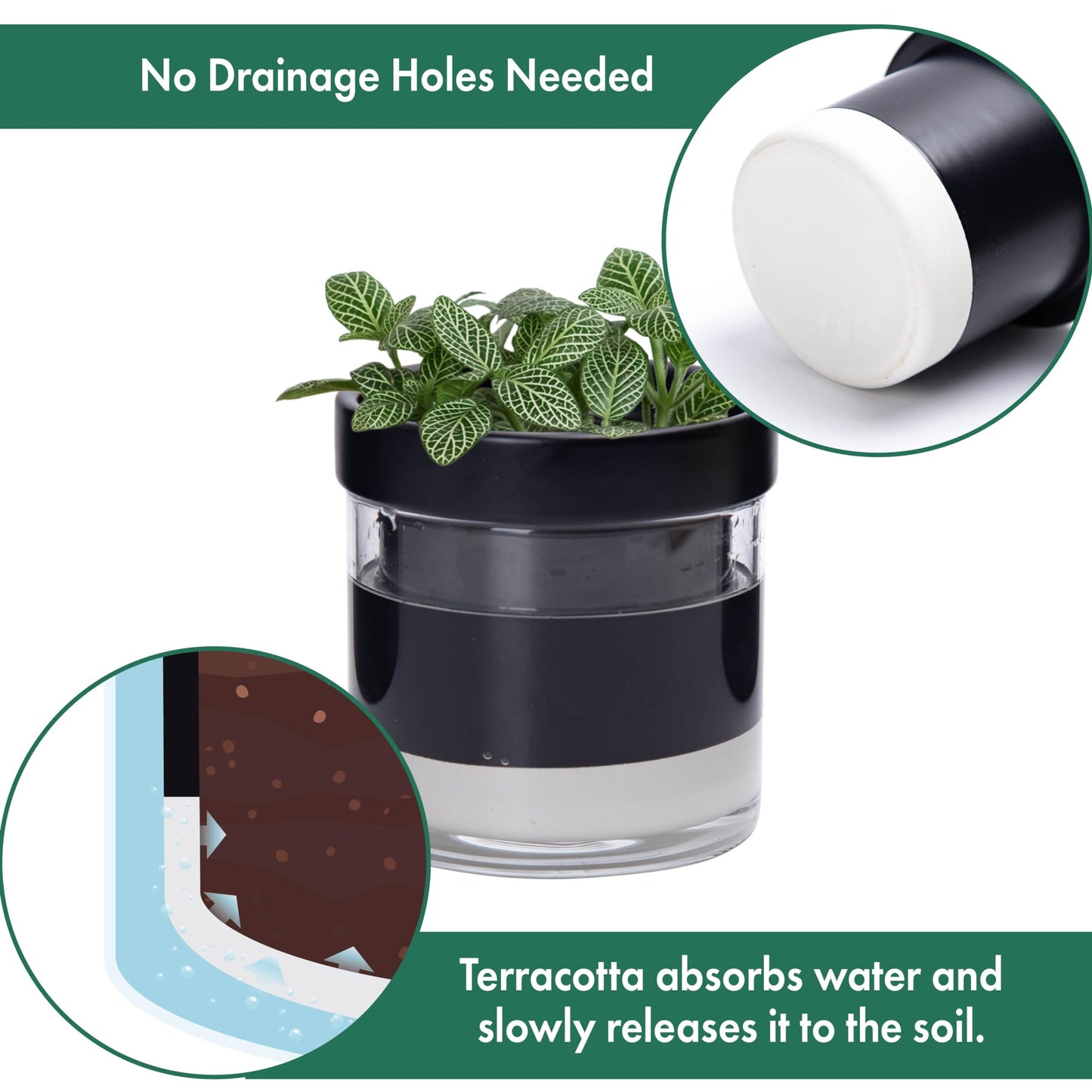 Phoenix Vine 4 Inch Self Watering Planter Pot, Black Terracotta Clay Pot with Glass Reservoir for Indoor Plants, Herbs, Flowers, Set of 4, 52-C-E-4
