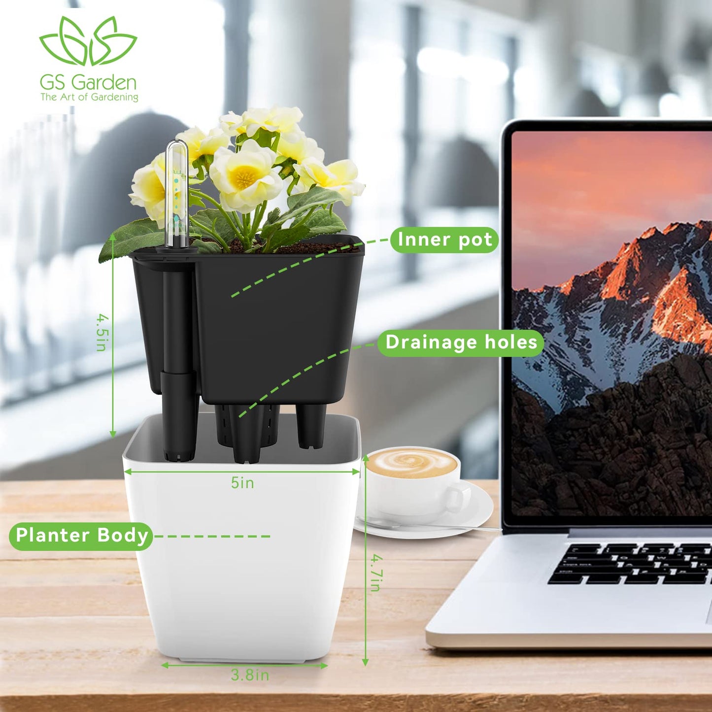 GS Garden Self Watering Planters for Indoor Plants : 5 inch 3 Pack White African Violet Self Watering Flower and Herb pots