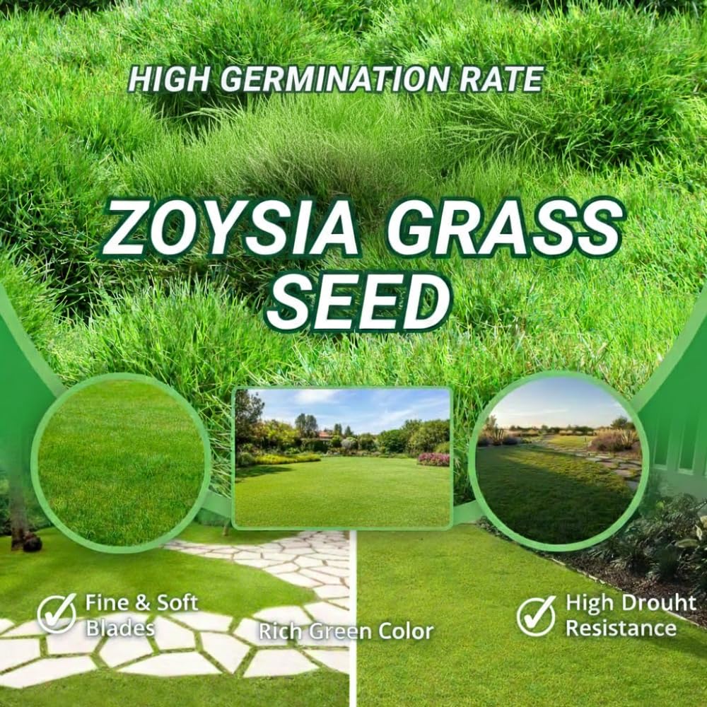 Zoysia Grass Seeds for Lawn, 20000 Seeds Count, Zoysia Seeds Lawngrass to Grow Backyard Home Garden