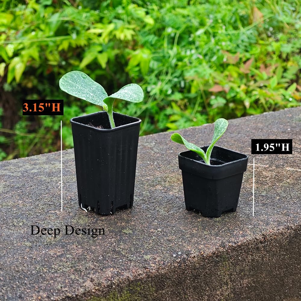 BangQiao 180 Pack 1.95 Inch Tiny Black Plastic Square Nursery and Seedling Pot, Mini Deep Transplant Seed Starter Planter with Drain Hole for Germination, Herb, Succulent