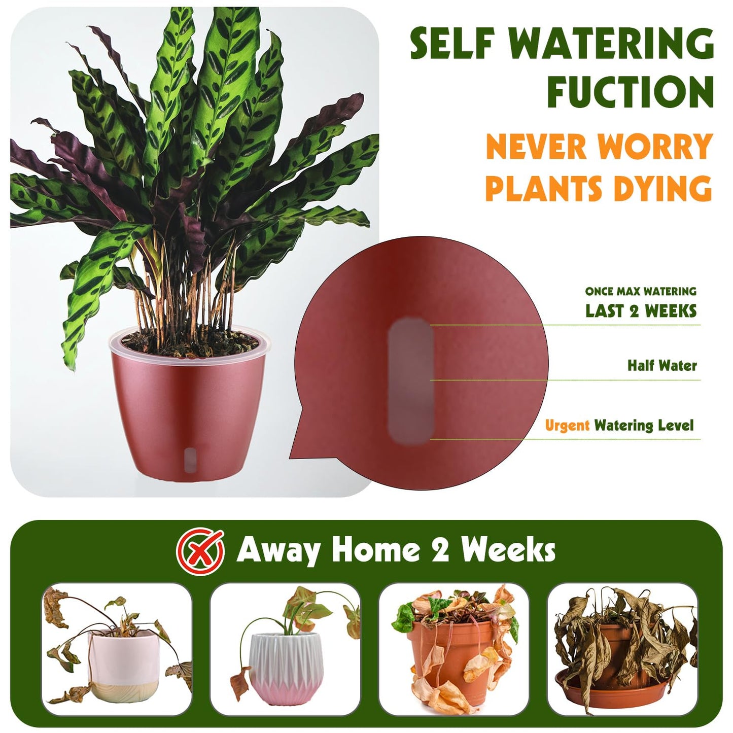 KvyusFlourish Self Watering Pots for Indoor Plants, 6-Pack 5'' Self Watering Planter with Drainage Holes, Small African Violet Pots with Water Indicator, Clear Wick Orchid Pot, Rose Gold