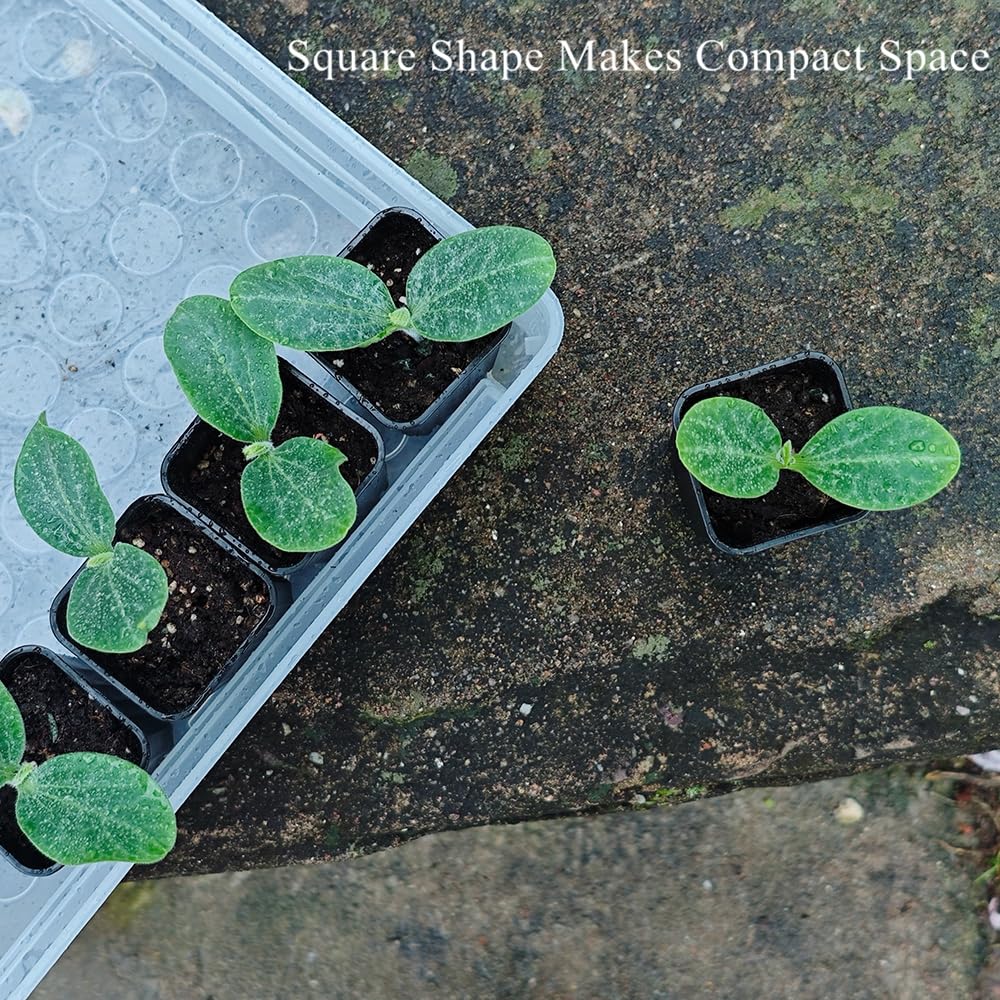 BangQiao 180 Pack 1.95 Inch Tiny Black Plastic Square Nursery and Seedling Pot, Mini Deep Transplant Seed Starter Planter with Drain Hole for Germination, Herb, Succulent