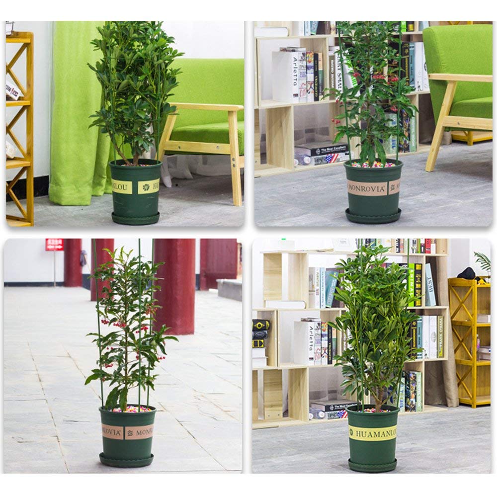 5 Pack Plant Support Tomato Cages for Garden Plants Support 18 inches Small Tomato Cages Tomato Trellis with Adjustable Rings Plant Stakes for Peony Supports Tomato Stakes Rings for Climbing Plants