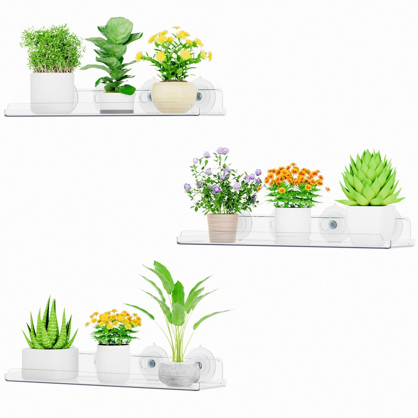 Lifewit Window Plant Floating Shelves 14.6x3.6, 3 Pack Acrylic Suction Cup Shelf, Window Sill Extender for Indoor Succulent Plants, Micro Greens, Seed Starter Pots, Herb Planters 37 x 9 cm/14.6x3.6