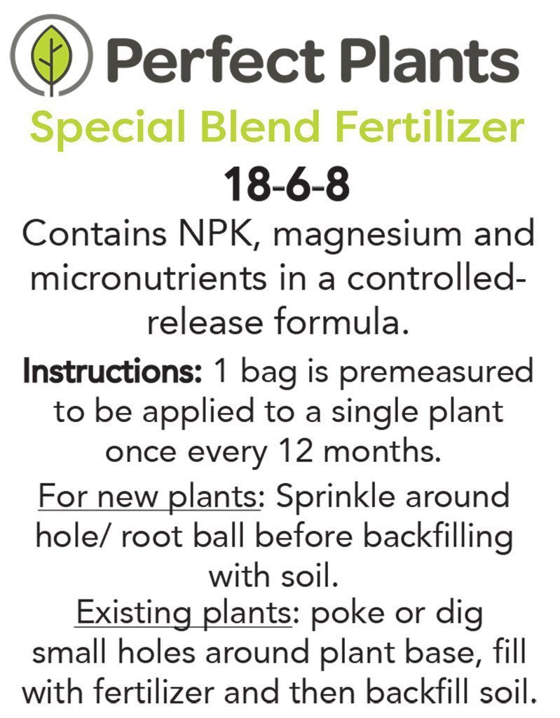 Golden Delicious Apple Tree - Size: 5-6', Live Plant, Includes Special Blend Fertilizer & Planting Guide