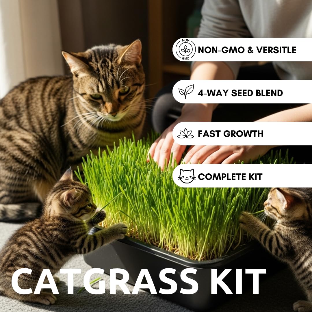 Cat Grass Growing Kit - Gift for Cat Owners & Pet Lovers - Organic Seed, Jute Grow Mats, 10 x 10 Container - Great for Indoor/Outdoor Pets - Pet Grass - Complete Set - No Tools Required