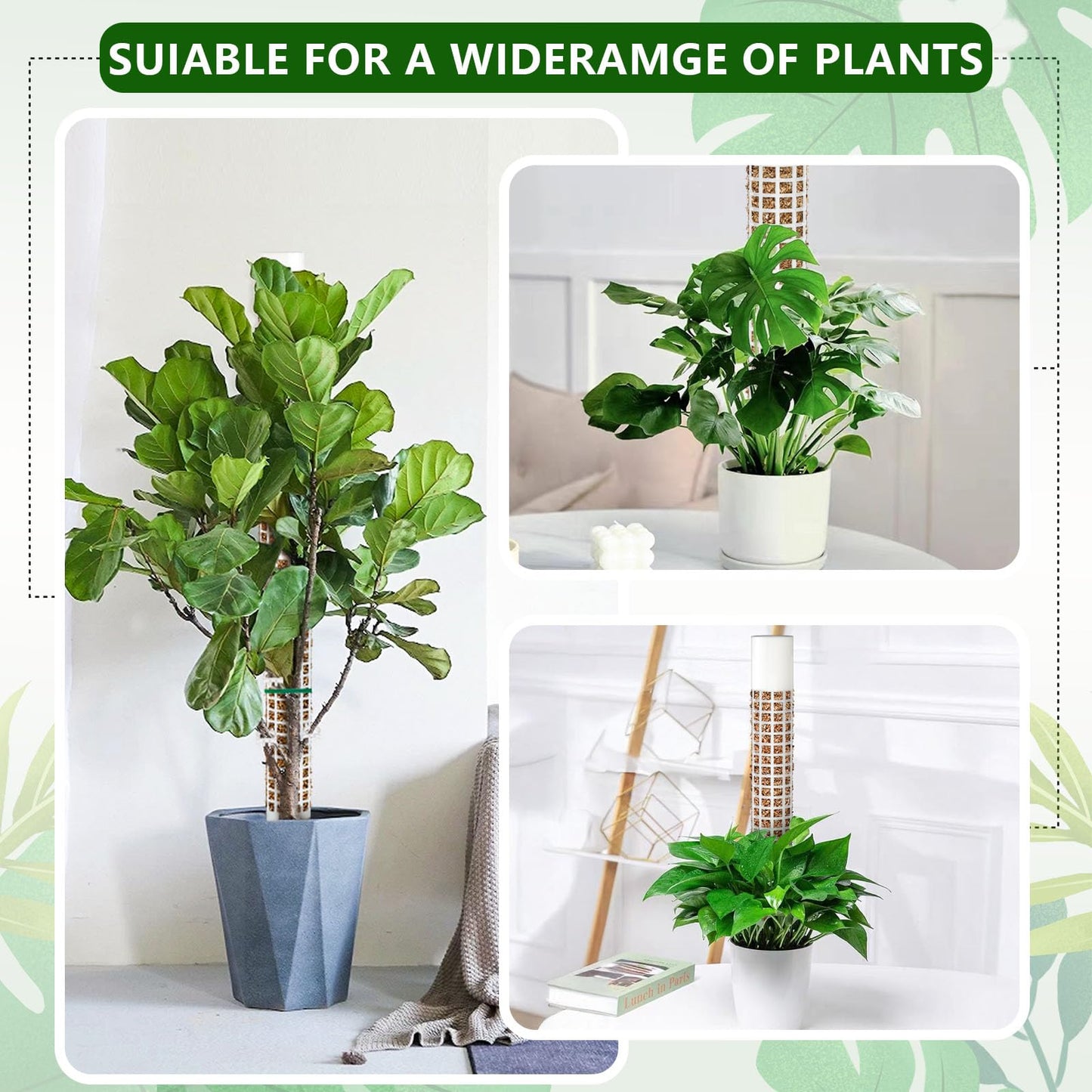 AlisisFores 2 Pcs Plastic Moss Pole for Monstera, Large Cylindrical Shape Poles for Climbing Plants Work with Sphagnum Moss, 17.5 Inch linkable Plant Stake Set of 2, Garden Ties