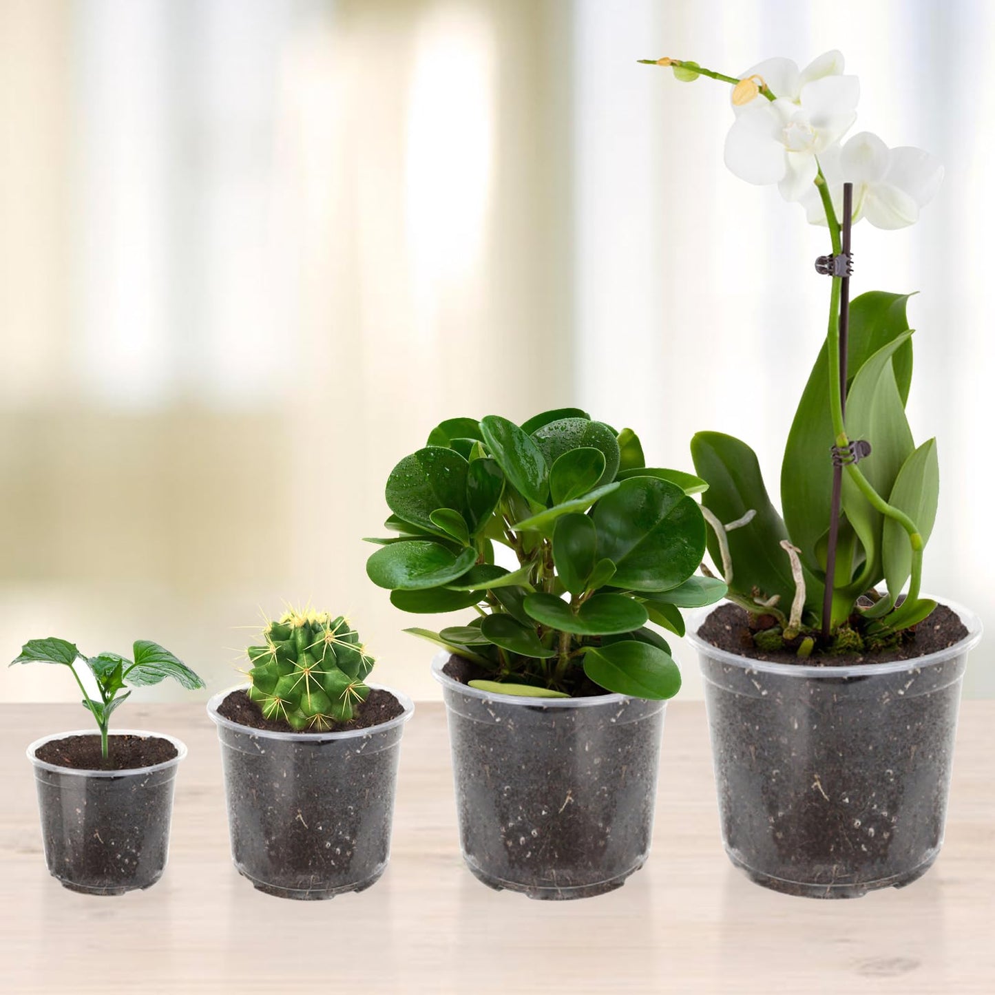 OUPSAUI 36 Pack 7/6/5/3.5 Inch Clear Nursery Pots with Drainage, Clear Pots for Plants, Flexible Plastic Seed Starting Pot