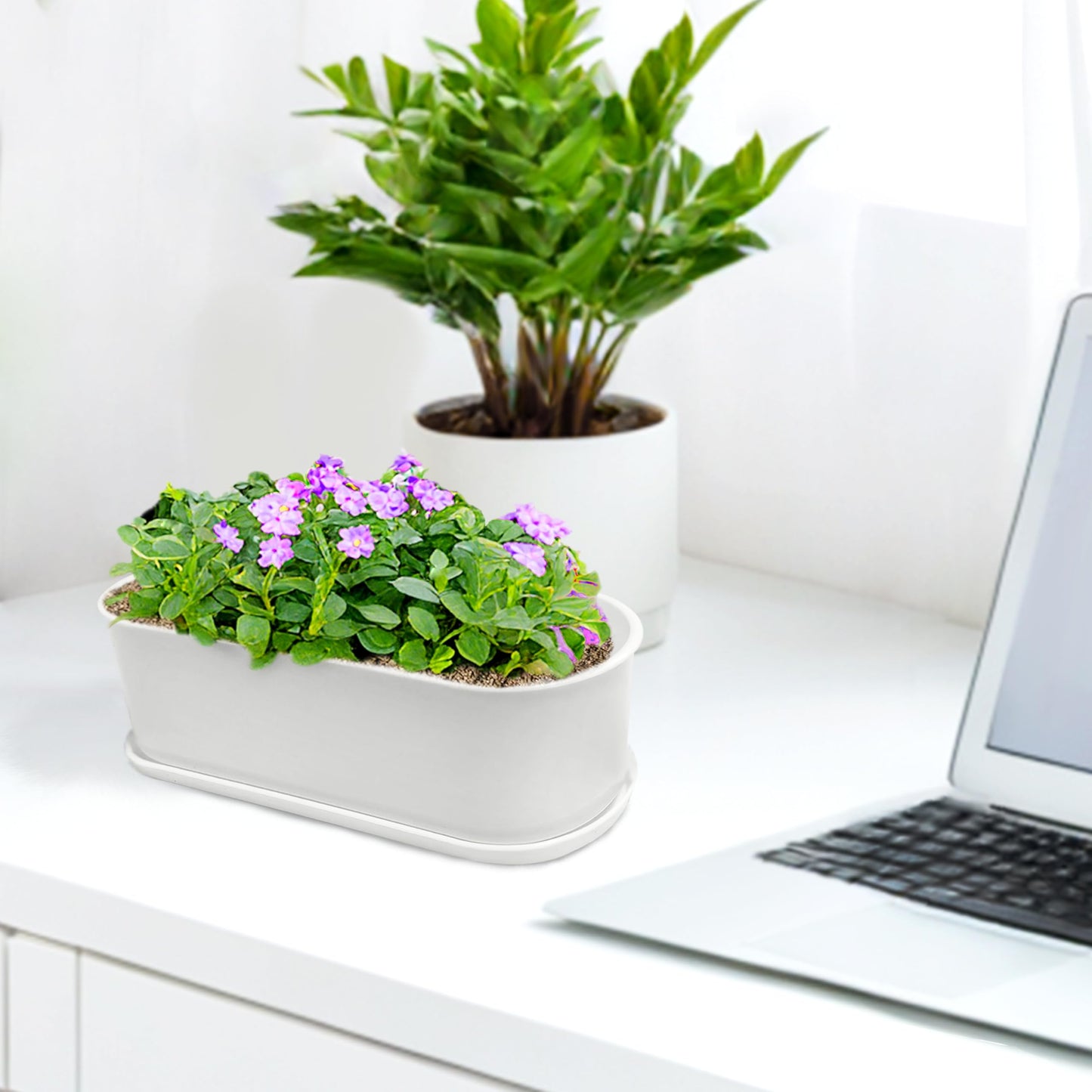 Torfican 20 Set Window Herb Planter Box Rectangular,8.5x3.5 Inch White Plastic Planters with Multiple Drainage Holes and Trays,Indoor Succulent Cactus Mint Flower Pot for Windowsill,Garden Balcony