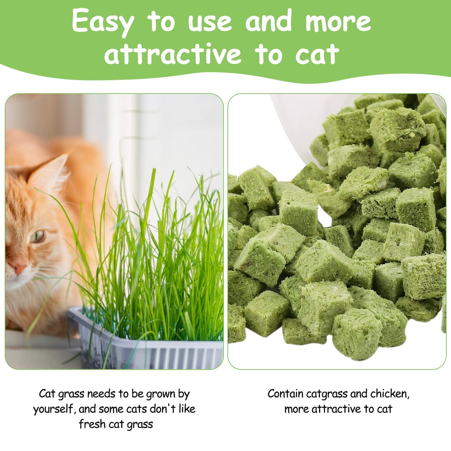HavenJanny 60g Cat Grass Treats for Cats, Freezed Drying Cat Grass Teething Stick Snacks for Kitty, Edible Cats Chew Toys for Teeth Cleaning and Hairball Removal