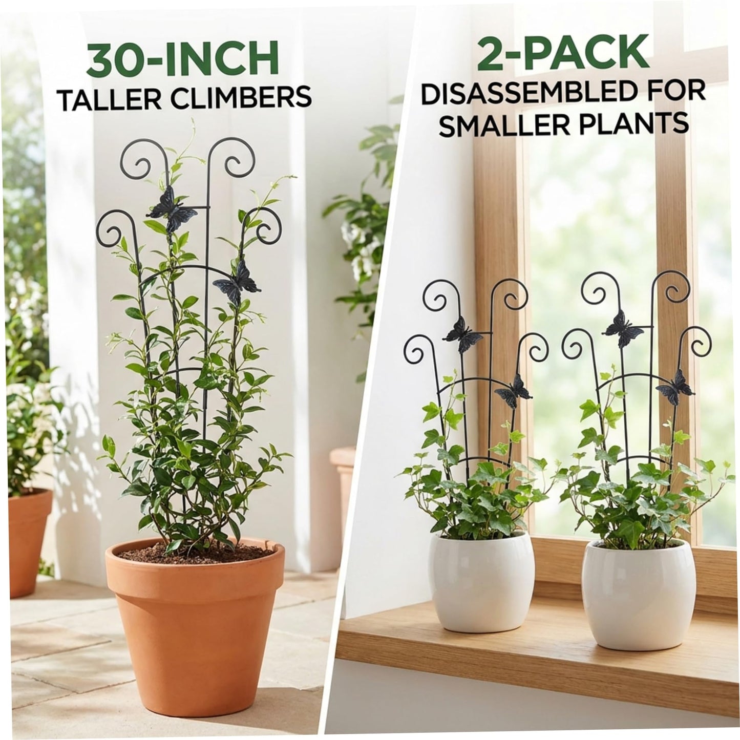 Trellis for Potted Plants, 2 Pack Trellis for Potted Plants, 30 Inch Tall Butterfly Indoor Plant, Expandable & Rust-Resistant Metal Climbing Support for Vines, Indoor Outdoor Garden
