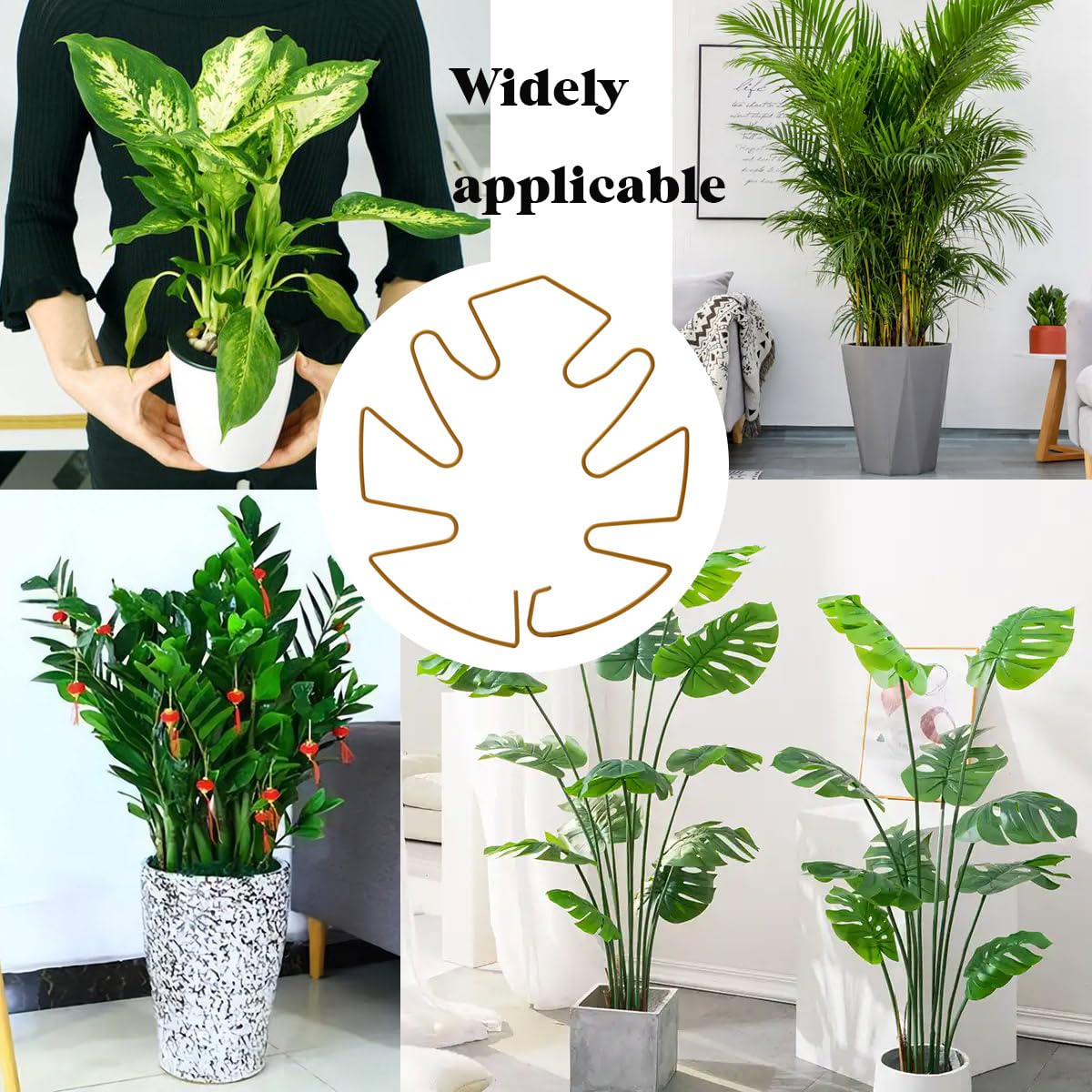Spiritlele 5 Pcs Golden Plant Stem Support Holder Set Monstera Plant Support Clamp Growth Accessories for Indoor Plants Small