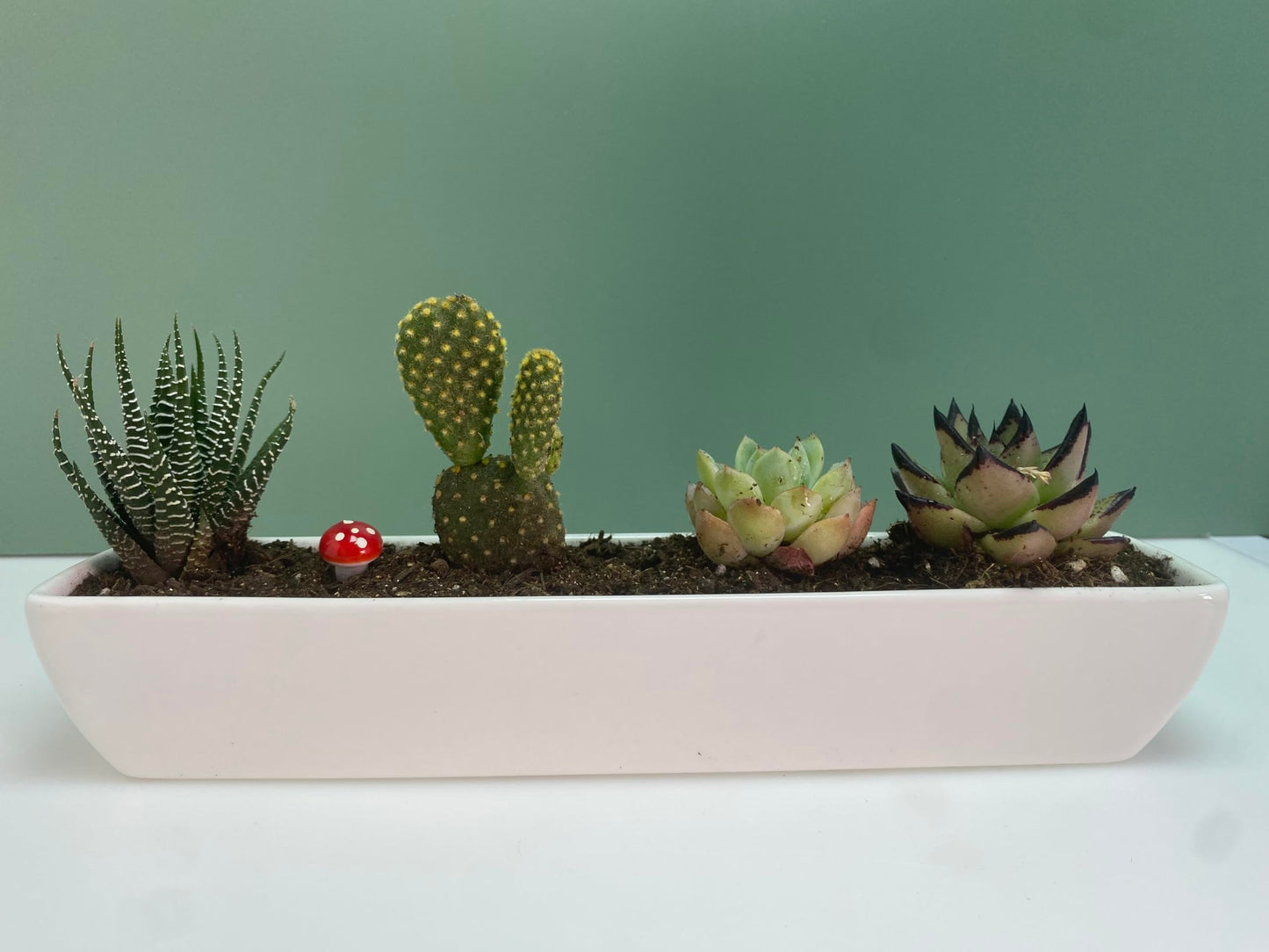 SWONVI 11.1 inch Long Rectangle White Ceramic Succulent Planter Pots with Ceramic Saucers/Mini Flower Plant Containers wPlant Window Boxes for Office/Home, (2 pcs Rectangle Pot)