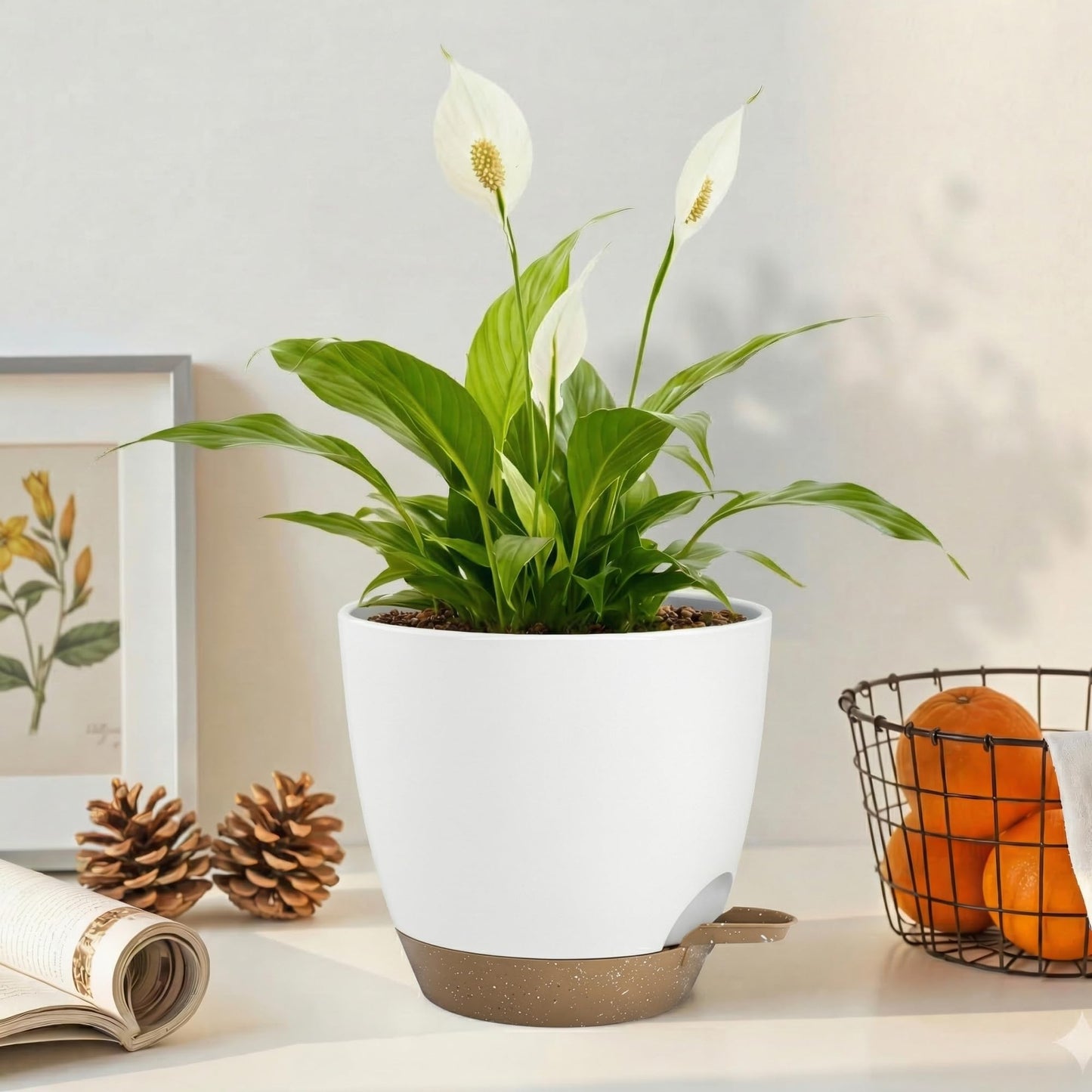 Hylitong Plant Pots 8/7.5/7/6.5/6 Inch Self Watering Pots,5 Pack Planters with Drainage Holes and Saucers,Plastic Flower Pots,Nursery Planters for Indoor Outdoor Plants (White)