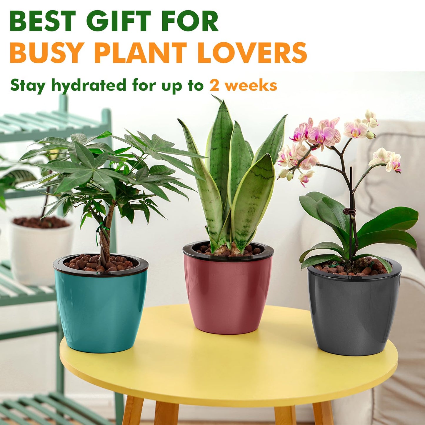 Planterhoma 5 Inch Self Watering Pots for Indoor Plants, 6 Packs African Violet Pots with Indicator, Black Wick Pot with Drainage Holes, Self Watering Planters for Orchid, Devil's Ivy, White