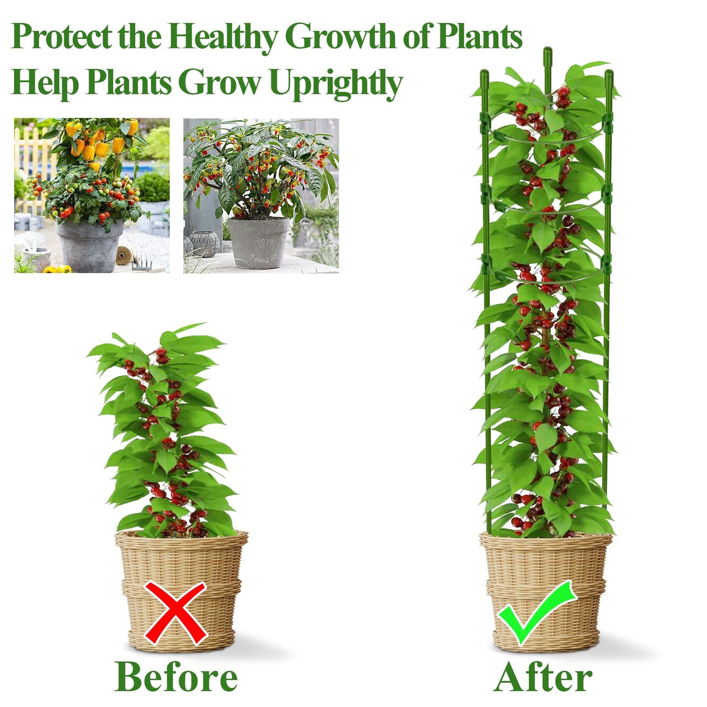 Legigo 3 Pack 30 Inch Plant Support Cages Tomato Cage for Garden- Plant Cages Adjustable Rings, Tomato Plant Support Stakes Trellis for Pots, Peppers, Cucumbers and Flowers with 10 Plant Clips