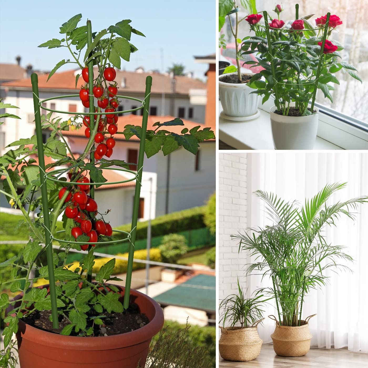Hoyejyou 4 Pack Tomato Cage for Garden Plant Support, 24 inches Small Tomato Trellis with Adjustable Rings, Plant Stakes for Peony Support, Tomato Stakes Rings for Climbing Plants