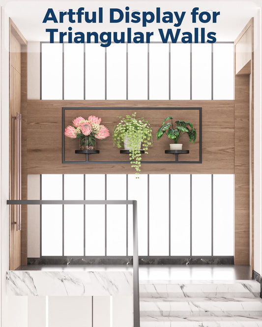 DEMEGA Wall Planters for Indoor Plants, Plant Frames Wall Decor Living Room Plant Stand Hanging Wall Plants Holder to Hold Large Pots Wall Plant Hanger Window Plant Shelves for Outdoor Entryway