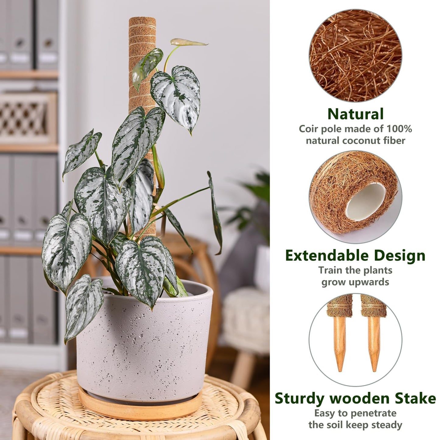 4 Pack 47 Inch Moss Pole, Stackable Moss Poles for Climbing Plants Monstera, Grow Upwards with Jute String Moss Stick. Coir Plant Support Stakes for Potted Plants Indoor.
