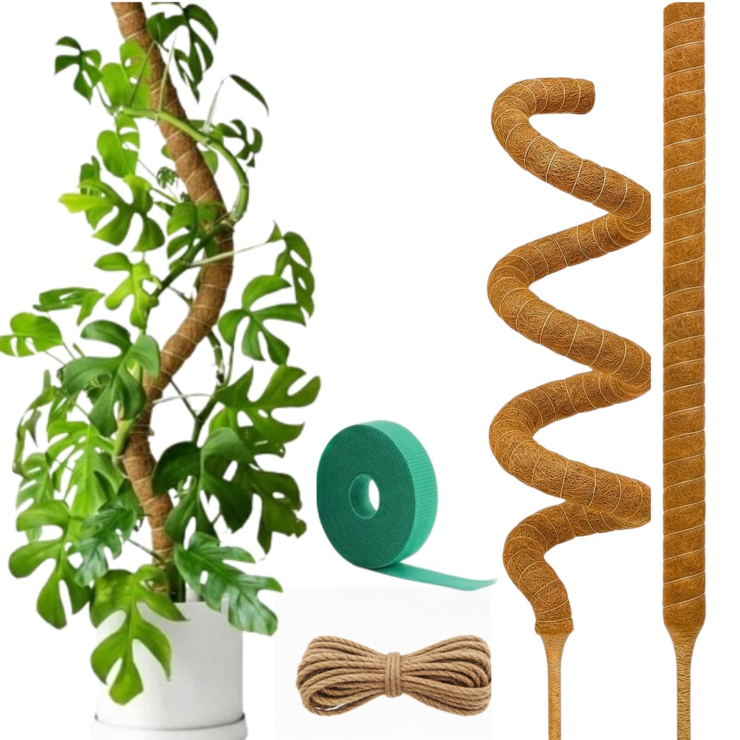Auraville Bendable Moss Pole for Plants | 2 Pack 60 Inch Tall Moss Pole Monstera Plant Support | Large Poles for Climbing Plants | Handmade Plant Sticks Support Tall Potted Plants