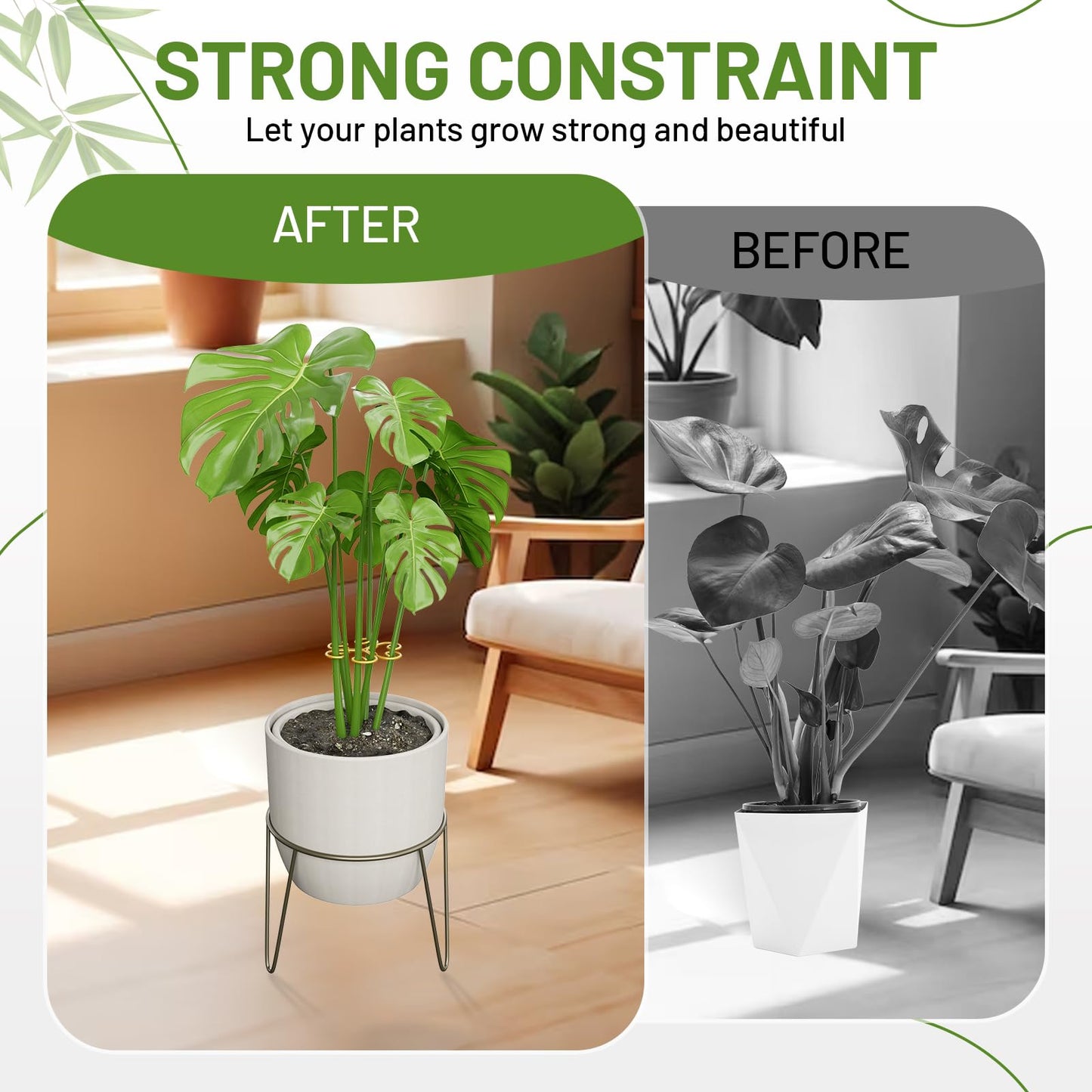 Yeomant 4PCS Iron Monstera Support, Uniquely Designed Plant Support Stakes for Indoor Plants, Stable Plant Stakes and Supports, Turtle Shell Bamboo Clamp Set for Thriving Growth