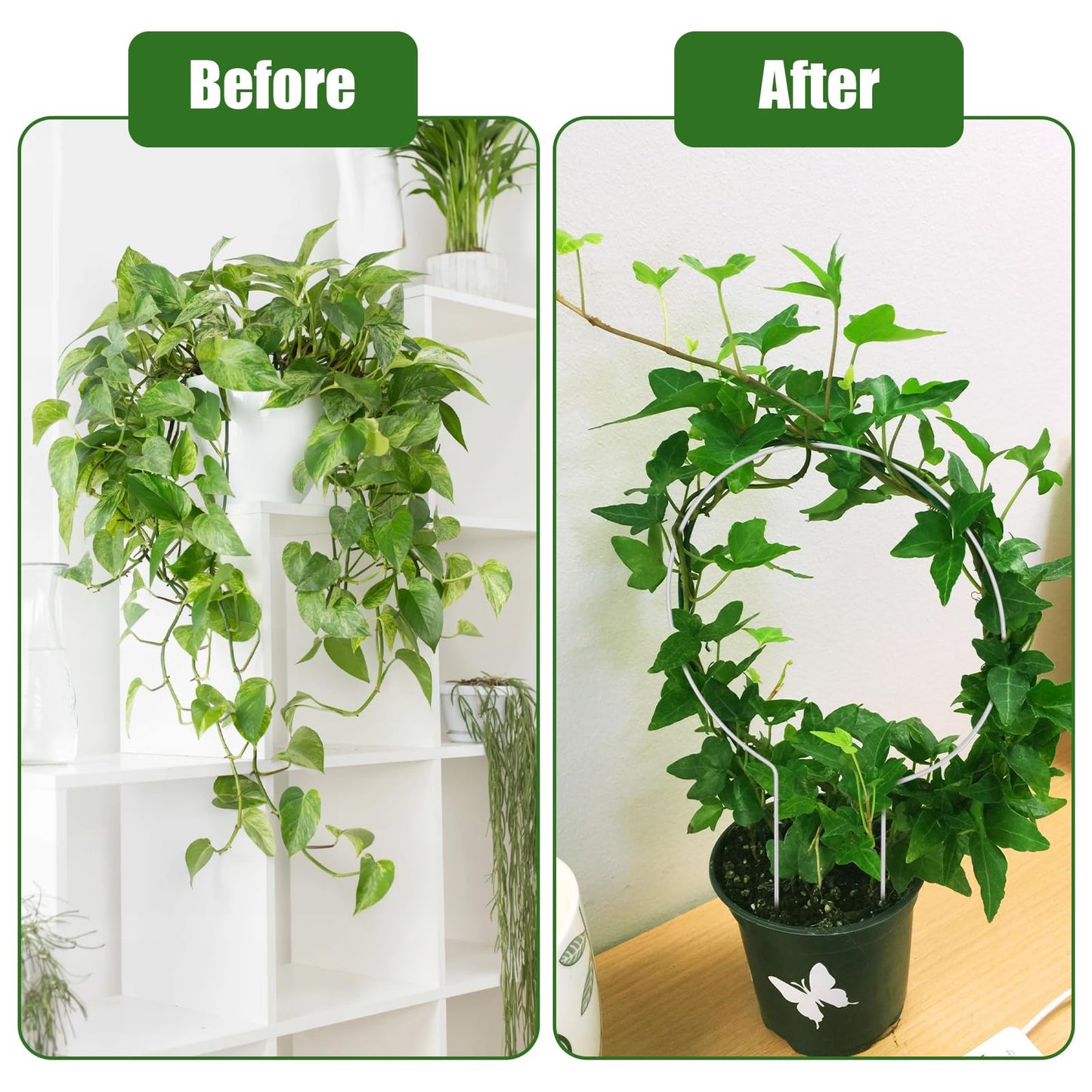 2 PCS Round Plant Trellis for Potted Plants, Small Trellis Indoor Outdoor Rust-Proof Circle Trelli for Climbing Plants Circle Plant Climber Support Stakes for Potted Flowers Garden Stem Vines