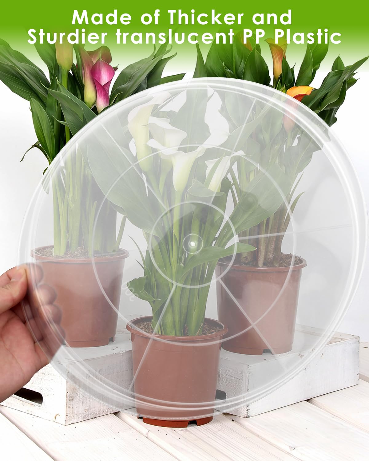 PACETAP 8 inch Plant Saucer Pot Tray 5 Pack, Heavy Duty Thickened PP Plastic Flower Planter Water Drip Trays for Indoors Outdoors Garden, Round Plastic Planter Water Catcher for Pot, Plant Dish