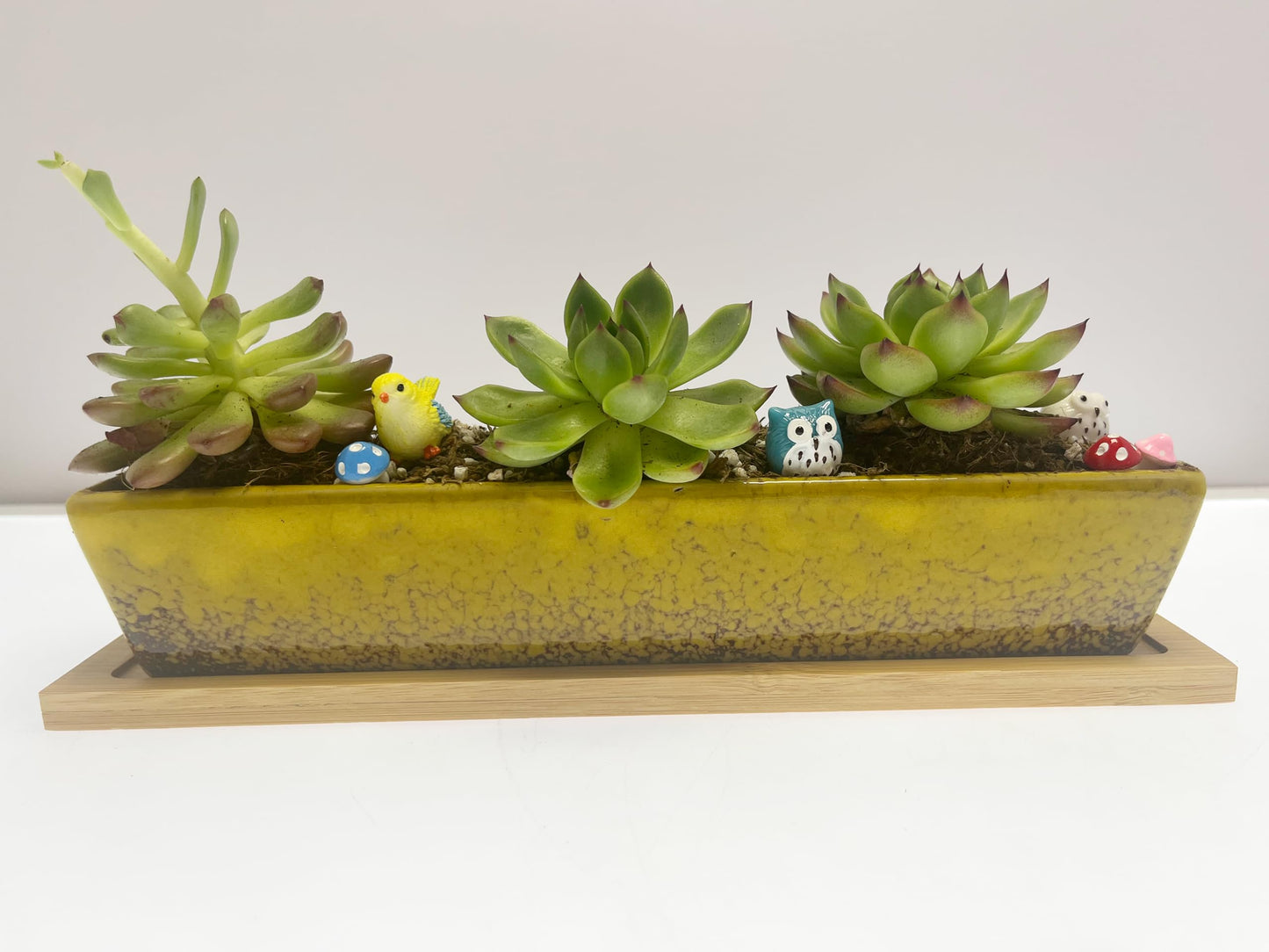9.8inch yellow long rectangle Ceramic Succulent Planter Pot,one set of Mini Flower Plant Container with Bamboo Saucers. Product size:9.8 x2.35x1.77 inch,not include the plant. (Yellow)