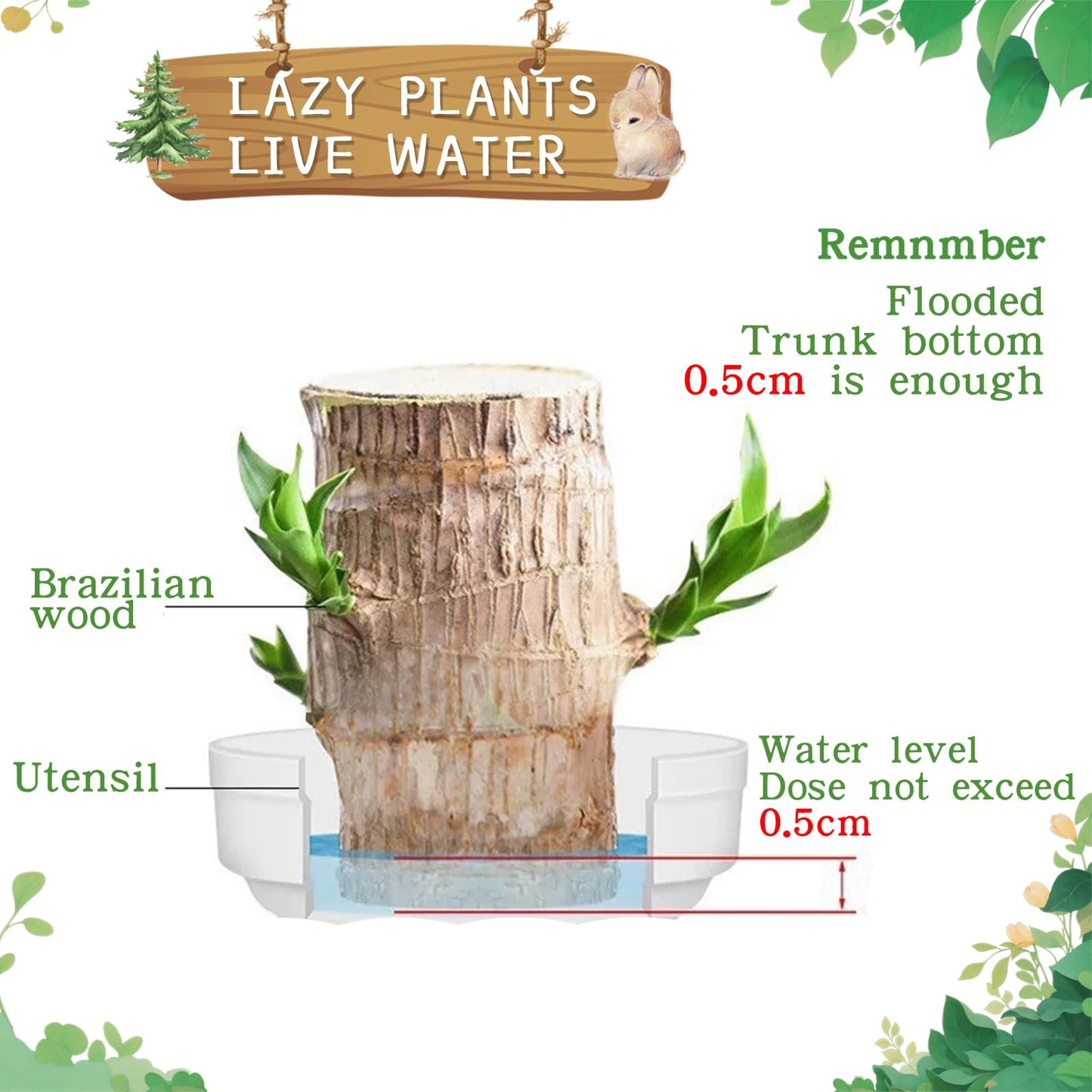 Brazilian Lucky Wood Plant,Fortune Brazil Wood Potted Plant,Mini Brazil Decoration, Desk Decor for Home & Office Desktop Planter