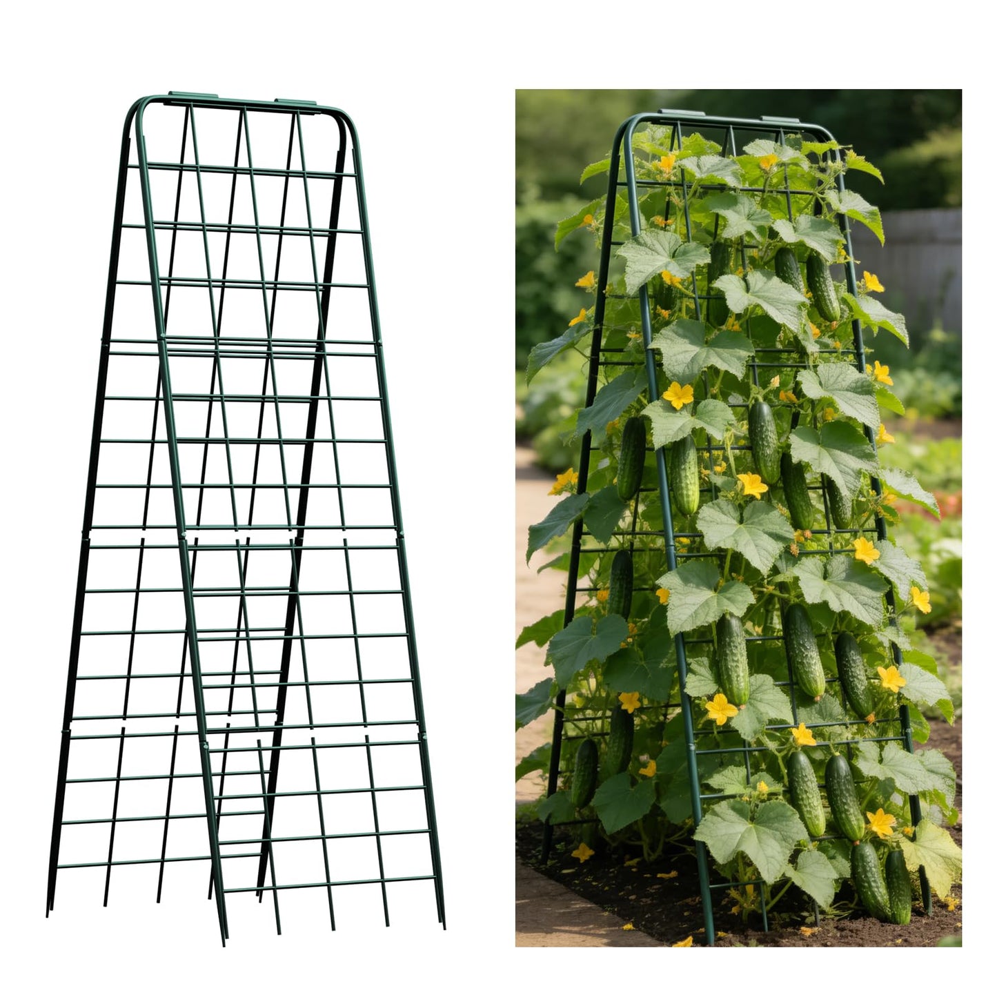 DOLEMODUO Heavy Duty Trellis for Climbing Plants, 50"x17" Adjustable Height Steel Cucumber Trellis, Powder Coated Metal Garden Trellis for Raised Beds,Tomatoes, Cucumbers & Outdoor Vines