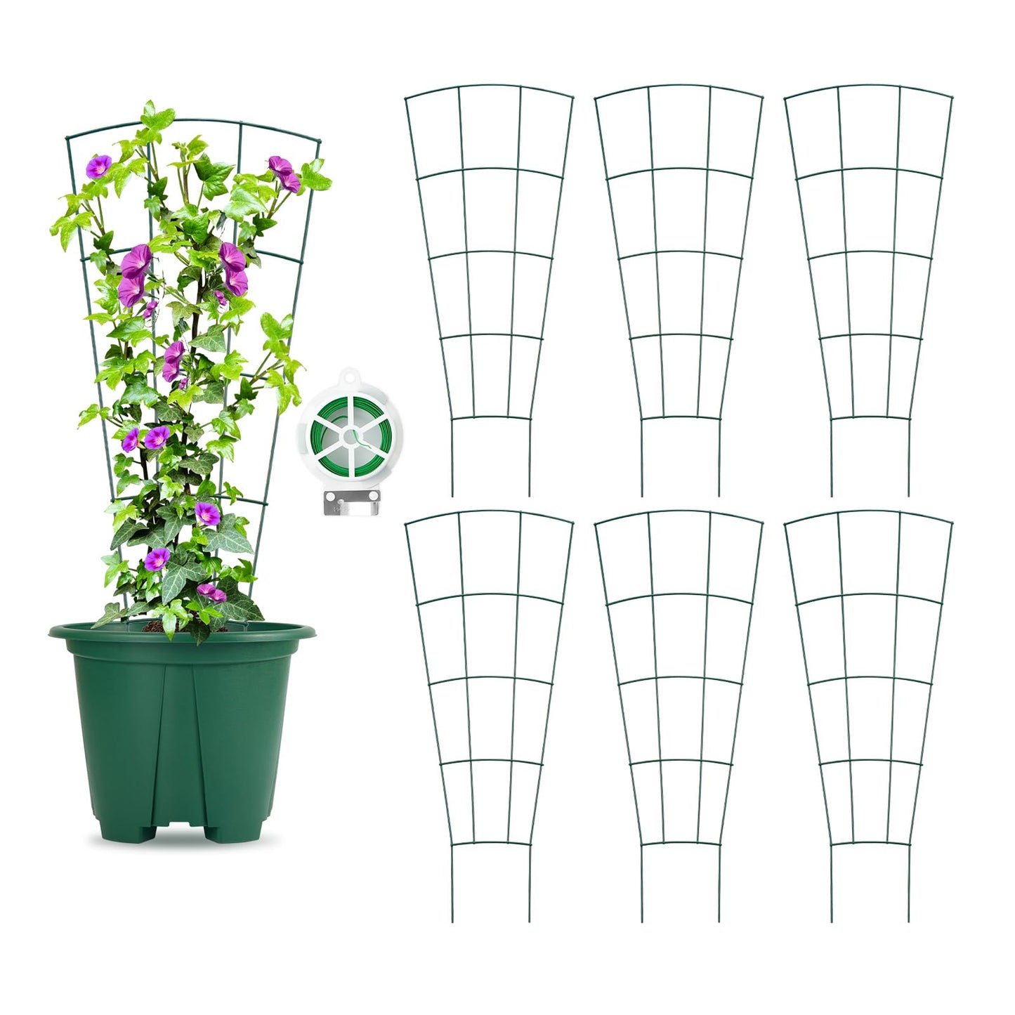 SUMGROW 6-Pack Indoor Plant Trellis - 24 Inches, Heavy-Duty Metal for Climbing Houseplants, Flowers, Vines, and Ivy