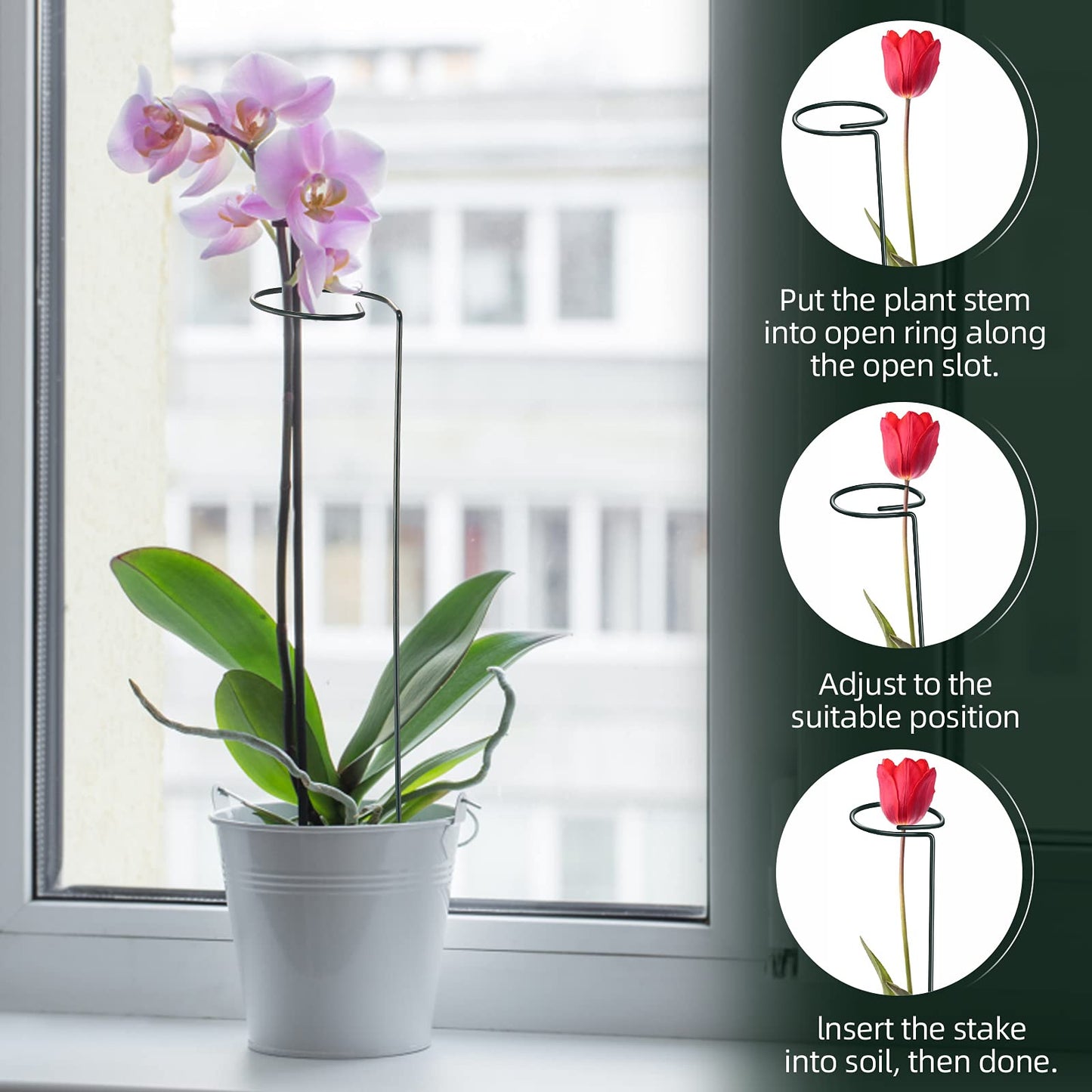 XYCING Green Metal Plants Support Stakes (Pack of 8), Garden Single Stem Plant Support Rod and Ring with 10 PCS Plant Clips, Plant Support and Clips Set - for Amaryllis, Rose, Tomato Seedling, Sapling