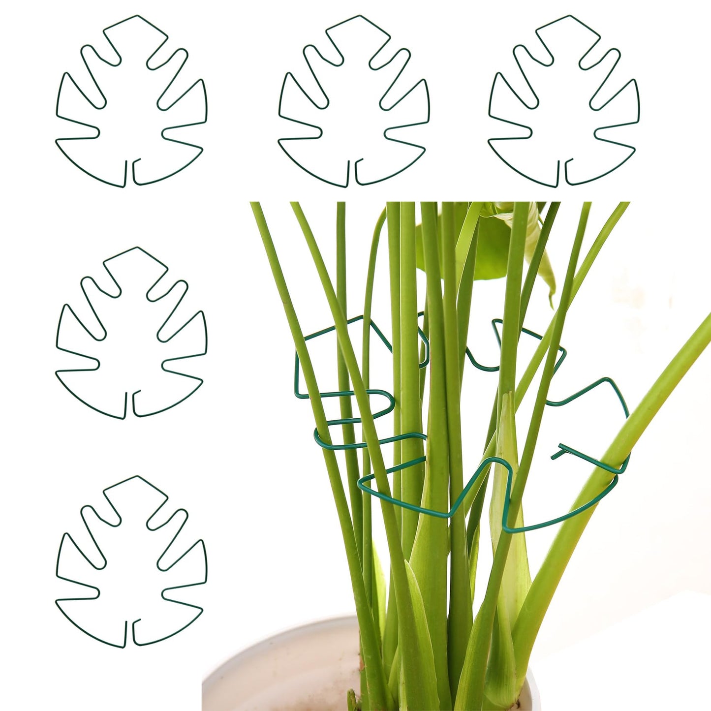 Spiritlele 5 Pcs Green Plant Stem Support Holder Set Monstera Plant Support Clamp Growth Accessories for Indoor Plants Big