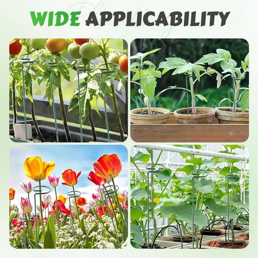 Plant Support Stakes, 16/24/36 Inch Plant Support Rings, 2026 New Single Stem Support for Flowers, Vegetables, Amaryllis, Rose, Orchid, Peony, Lily, Tomatoes (4, 16 Inch)