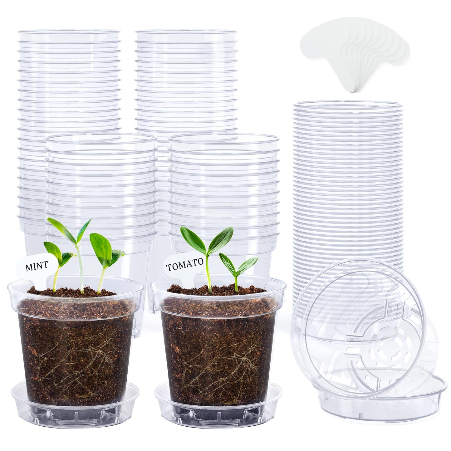 homenote 3 Inch Clear Nursery Pots 60 Pack with Drainage and Plant Saucers, Rigid High Transparency Plastic Nursery Pots for Plants,Thick Walled Planter Nursery Pots with Upgraded Drainage Holes