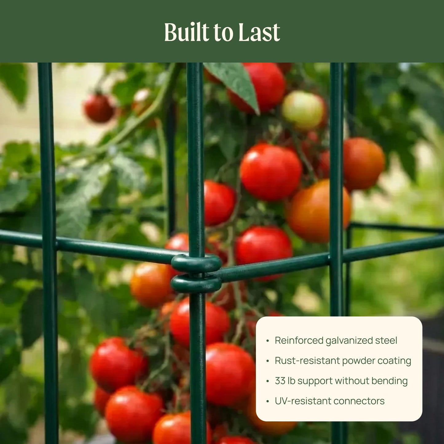 Vego 3-Panel Tomato Cage for Garden & Pots, Rust-Resistant Tomato Stakes Plant Cage Trellis Support for Climbing Vegetables Plants - 14.5" Triangle 3 Pack