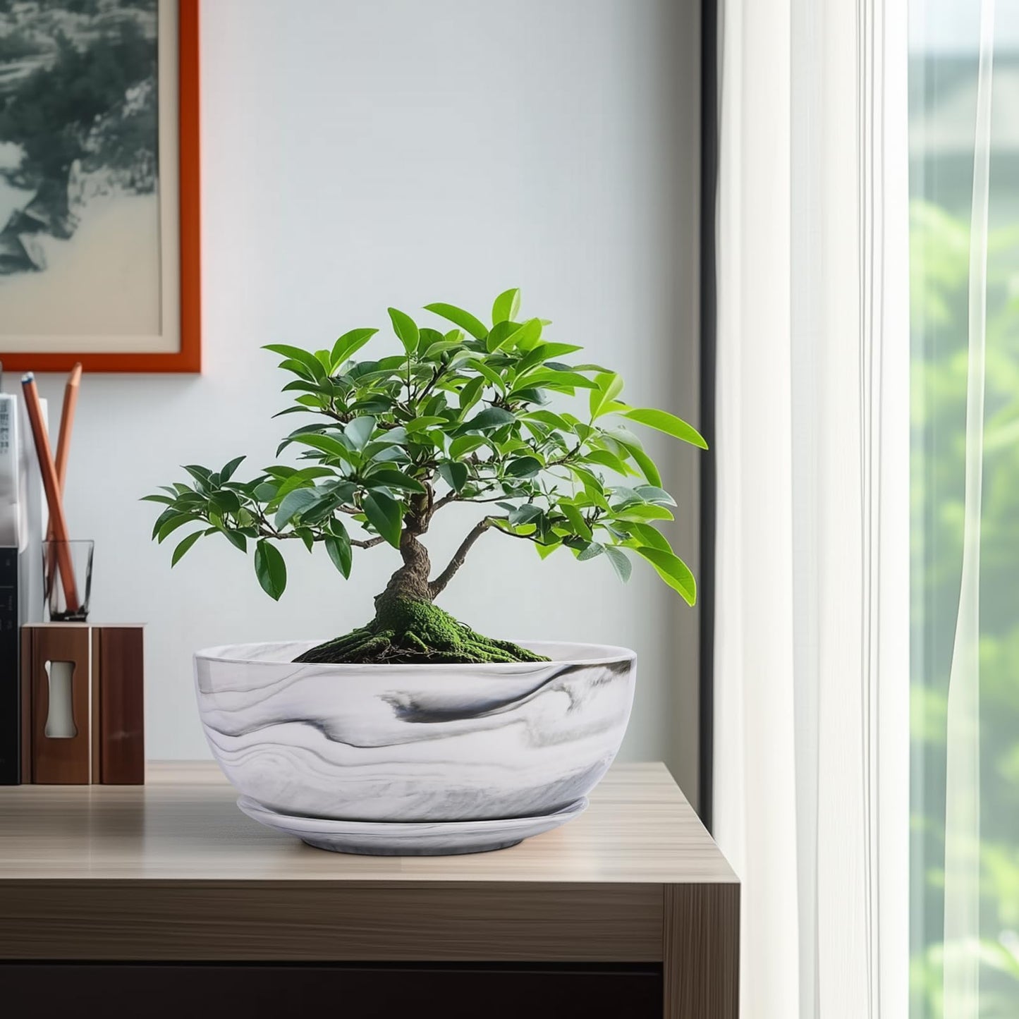 G EPGardening Bonsai Pots, 8 Inch Marble Pattern Ceramic Succulent Pot with Drainage Hole and Plant Saucer, Large Round Planter for Indoor Outdoor Plants, Modern Flower Pot, Plants Lovers Gifts, Grey