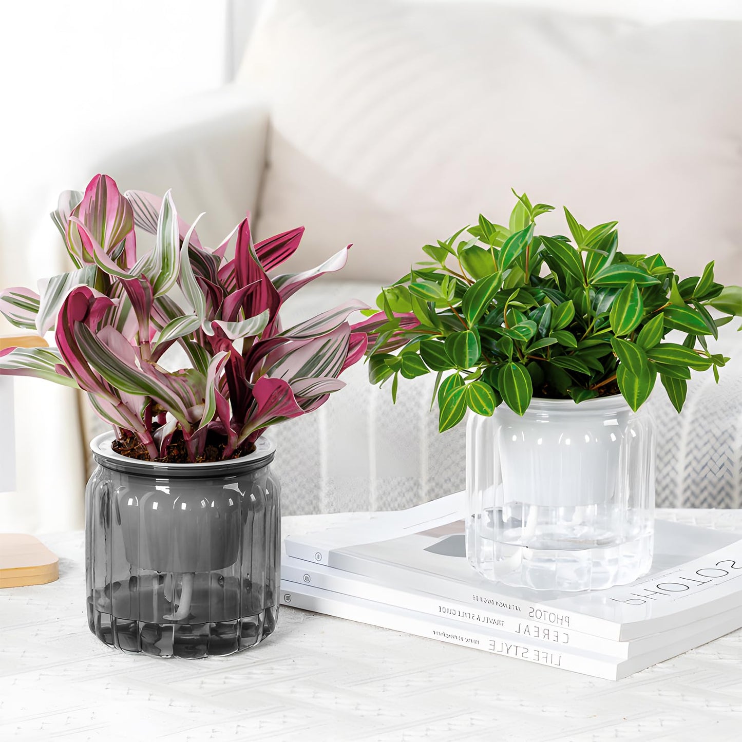 Samhe 6 Pack Self Watering Pots Set, 3.9 Inch Self Watering Pots for Indoor Plants, Planter Pot with Wick Rope for Succulents, Violets, Ferns - Clear Gray & White
