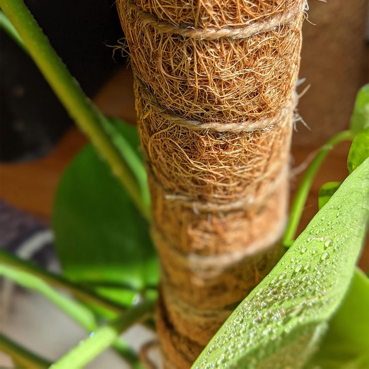 Moss Pole for Climbing Plants, 4 Pcs 15.7 Inch Coir Moss Poles with Gardening Tool Set Full Length 47 Inch, Support Extension Indoor Potted Plants to Grow Upwards for Heavy Climbing Plants Monstera