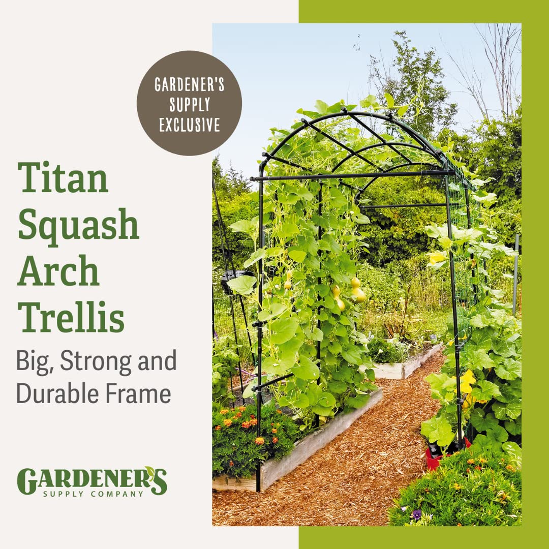Gardener’s Supply Company Extra Tall Garden Arch Arbor | 80 Inch Tall Titan Squash Tunnel | Lightweight Metal, Trellis Plant Stand for Climbing Vines | Outdoor Lawn Tower & Support Structure